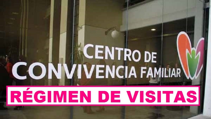 regimen de visitas y convivencias para el padre que no tendra su custodia