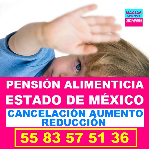 pension alimenticia edomex