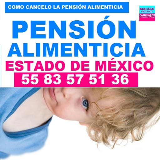 cabcelacion de pension alimenticia